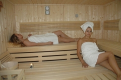 sauna-saune-finske-bio-saune-slika-32594358